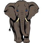 Elephant 14b