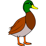 Duck 1b