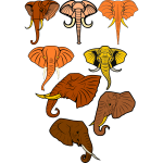Eight elephant heads