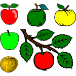 Six different apples