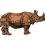 One angry rhinoceros