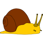 Snail 5
