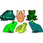 Six frogs