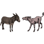 Two donkeys in conversation