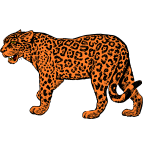 The thirsty jaguar