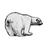 A polar bear disappears in a snowstorm