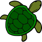 Little green turtle