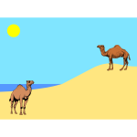 Meeting of two camels
