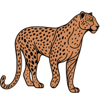 The leopard estimates the distance to possible prey