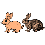 Rabbits-1718970314