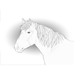 Vector drawing of a horse