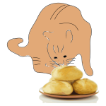 20150224 cat eats bread