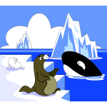 A Seal A Sea Lion And A Killer Whale
