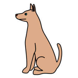 A dog waiting for a command 2