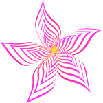 Abstract Flower Colour magenta