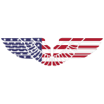 American Eagle Wings With Stroke