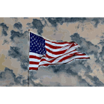 American Flag 2015060134