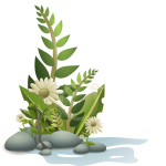 Plants pebbles and flowers vector