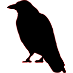 Silhouette image of a crow
