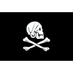 Pirate flag bones and skull vector image