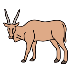 Antelope 2