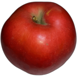 Green apple half