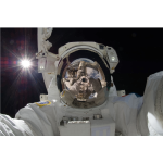 Astronaut Selfie