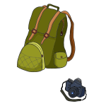 Backpack and camera