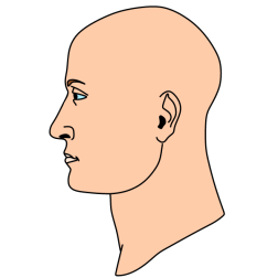 Bald man 2