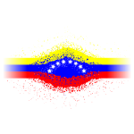 Bandera de Venezuela 03