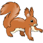 BasicSquirrel