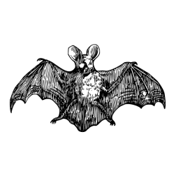 Bat 6