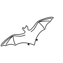 Bat 7