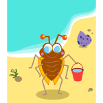 Beach bug