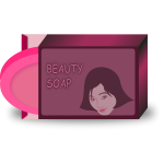Asian beauty soap vector image