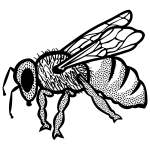 Outline vector drawing of bee