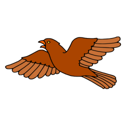 Bird 20