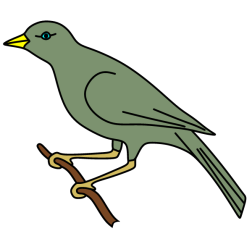 Bird 22