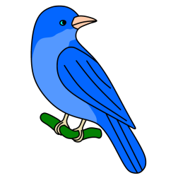 Bird 24