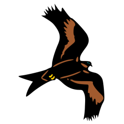 Bird 25
