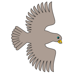 Bird 27