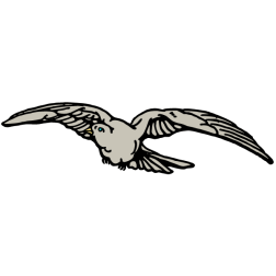 Bird 28