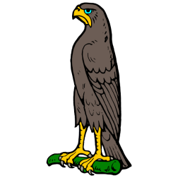 Bird 29