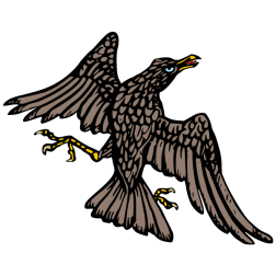 Bird 30