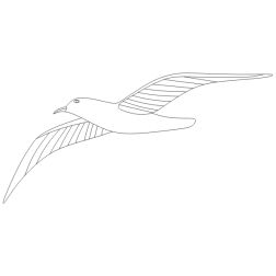 Bird 33