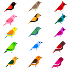 Diverse birds