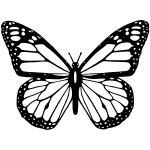 Vector clip art of black and white butterfly with wide spread wings