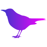 Blackbird with Color