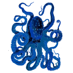Blue Octopus 2017013052
