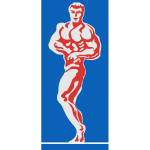 Bodybuilder vector image